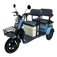 Электротрицикл Yasmand R12 Li-ion Голубой